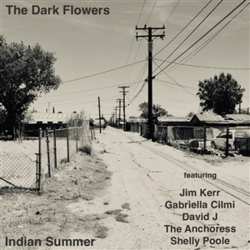 Album The Dark Flowers: Acid Dreams