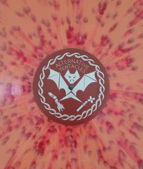 LP The Darts: Boomerang CLR