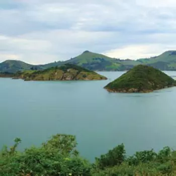 The Dead C: Secret Earth