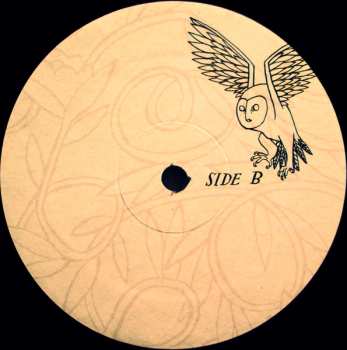 2LP The Decemberists: Picaresque