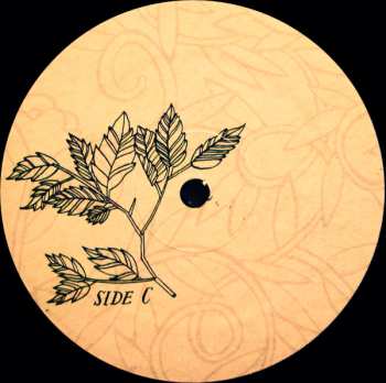 2LP The Decemberists: Picaresque