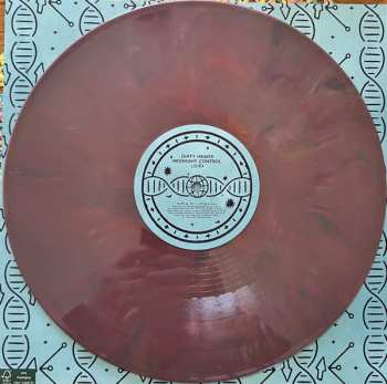 4LP/Zestaw pudełkowy The Dirty Heads: Midnight Control DLX | CLR