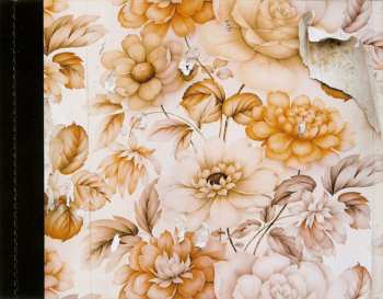 CD The Durutti Column: Love In The Time Of Recession