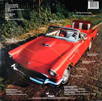 LP The Fabulous Thunderbirds: T Bird Rhythm