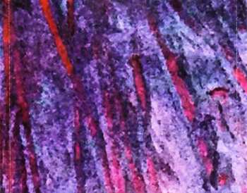 CD The Fall: New Facts Emerge