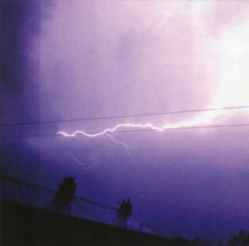 CD The Fall: New Facts Emerge