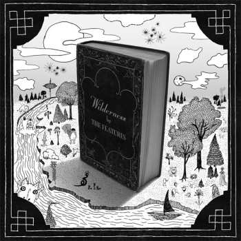 CD The Features: Wilderness