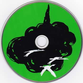 CD The Fiery Furnaces: Bitter Tea DIGI