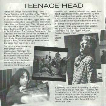 CD The Flamin' Groovies: Teenage Head
