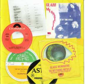 CD The Glass Menagerie: Have You Forgotten Who We Are? The Anthology 1968 - 69