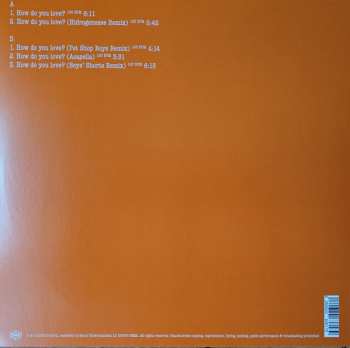 LP The Hidden Cameras: How Do You Love?