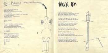 CD The Hidden Cameras: Origin:Orphan