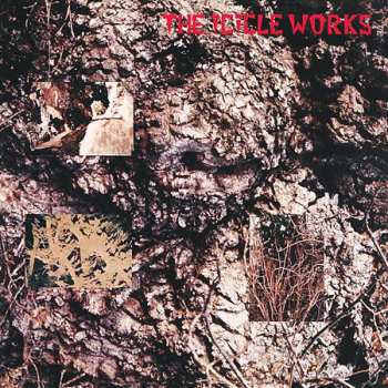 5CD/Zestaw pudełkowy The Icicle Works: 5 Albums