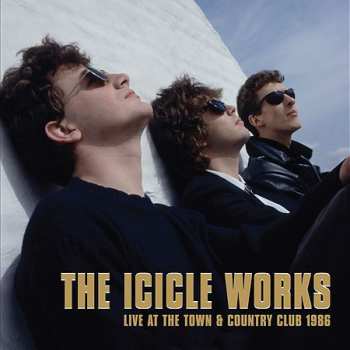 5CD/Zestaw pudełkowy The Icicle Works: 5 Albums