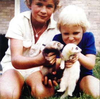 CD Idjut Boys: Death Before Distemper * Volume 3 * A Fistful Of Ferrets