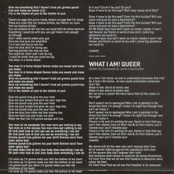 CD The Irrepressibles: Yo Homo!