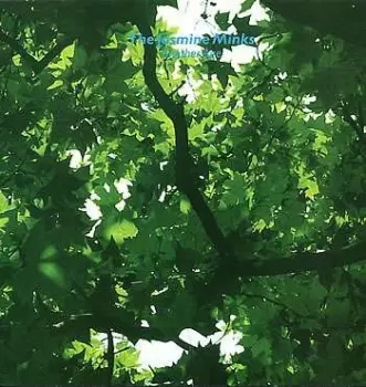 The Jasmine Minks: Another Age