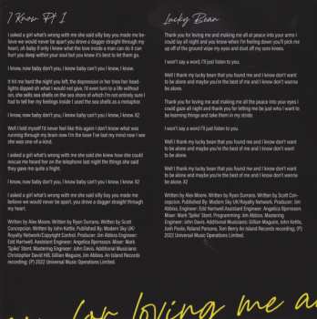 CD The Lathums: From Nothing To A Little Bit More