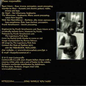 CD The Legendary Pink Dots: A Perfect Mystery