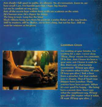 CD The Legendary Pink Dots: A Perfect Mystery