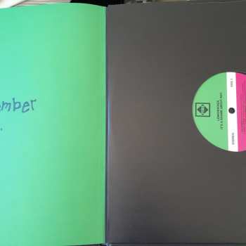 2LP The Lemonheads: It's A Shame About Ray DLX | LTD