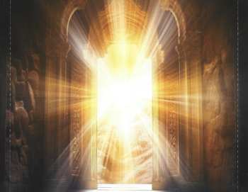 CD The Light: The Light