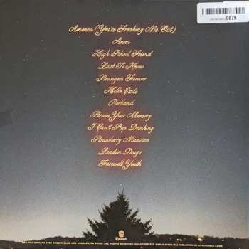 LP The Menzingers: Hello Exile