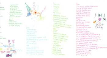 CD The Miami Dolphins: Becky