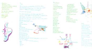 CD The Miami Dolphins: Becky