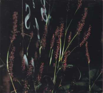 CD The Mountain Goats: Tallahassee DIGI