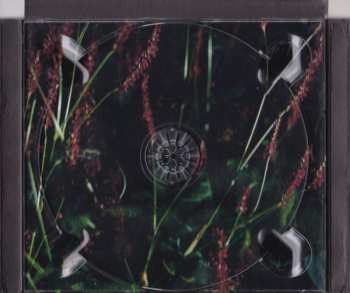 CD The Mountain Goats: Tallahassee DIGI