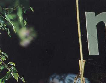 CD The Mountain Goats: Tallahassee DIGI