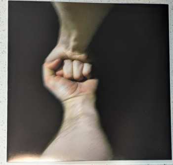 LP The Mountain Goats: The Sunset Tree CLR | LTD