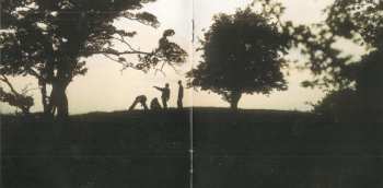 CD The Music: The Music