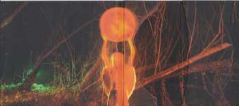 CD The Mysterines: Afraid of Tomorrows