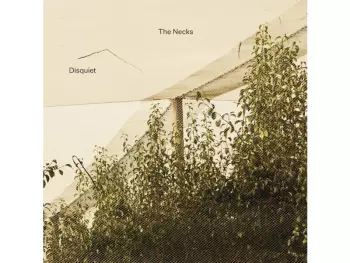 The Necks: Disquiet