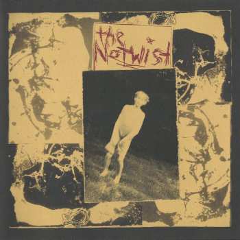 CD The Notwist: The Notwist