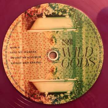 2LP The Number Twelve Looks Like You: Wild Gods CLR