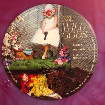 2LP The Number Twelve Looks Like You: Wild Gods CLR