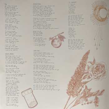 LP The Ophelias: Almost CLR