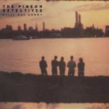Album The Pigeon Detectives: Still Not Sorry