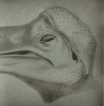 CD The Raconteurs: Consolers Of The Lonely