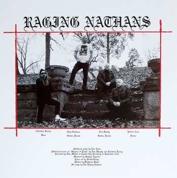 LP The Raging Nathans: Waste My Heart