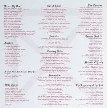 LP The Raging Nathans: Waste My Heart