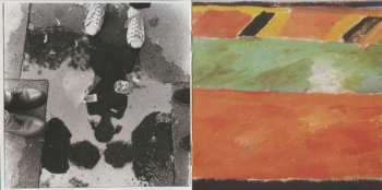 CD The Raincoats: Odyshape