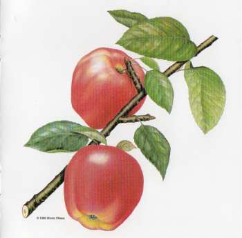 CD The Rolling Stones: Undercover