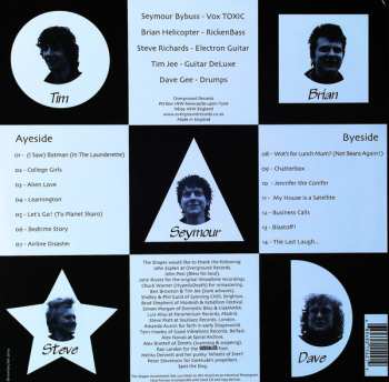 LP The Shapes: More Songs For Sensible People