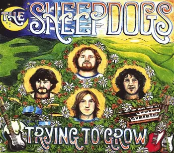 The Sheepdogs: Trying To Grow
