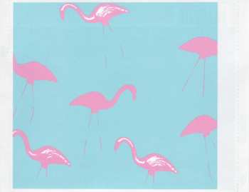 CD The Shires: Accidentally On Purpose