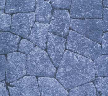 CD The Skinflicks: Steel-toe Anthems (Meet Luxembourg's Finest)